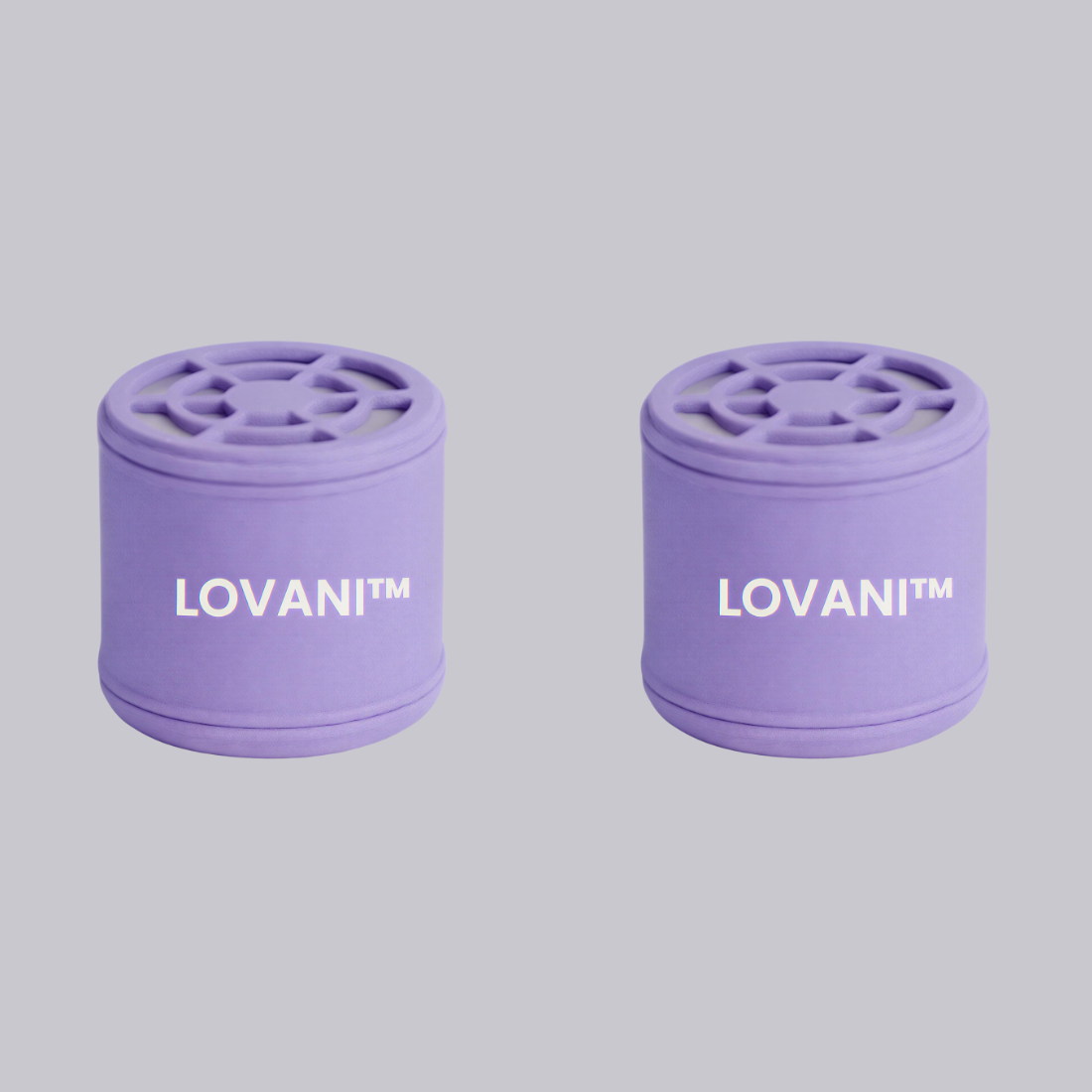 1 Year Replacement Fiilter (2-Pack)