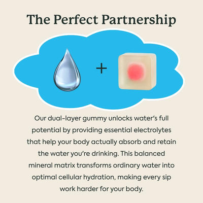 WonderHydrate Electrolyte Gummies