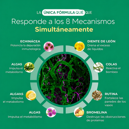 Cápsulas de drenaje linfático
