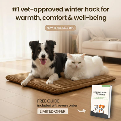 Self Warming Pet Mat